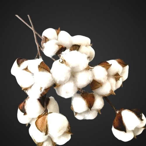 Хлопок для букетов