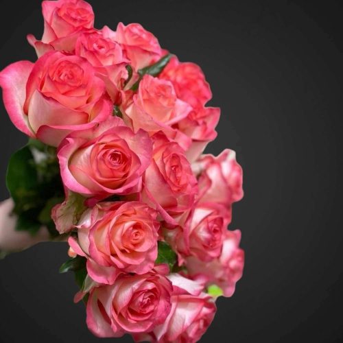 Букет Джумилия